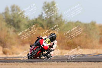 media/Feb-08-2025-CVMA (Sat) [[fcc6d2831a]]/Race 11-Amateur Supersport Open/